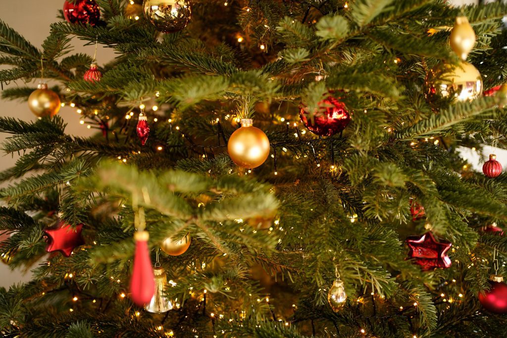 Ornaments on a Tree