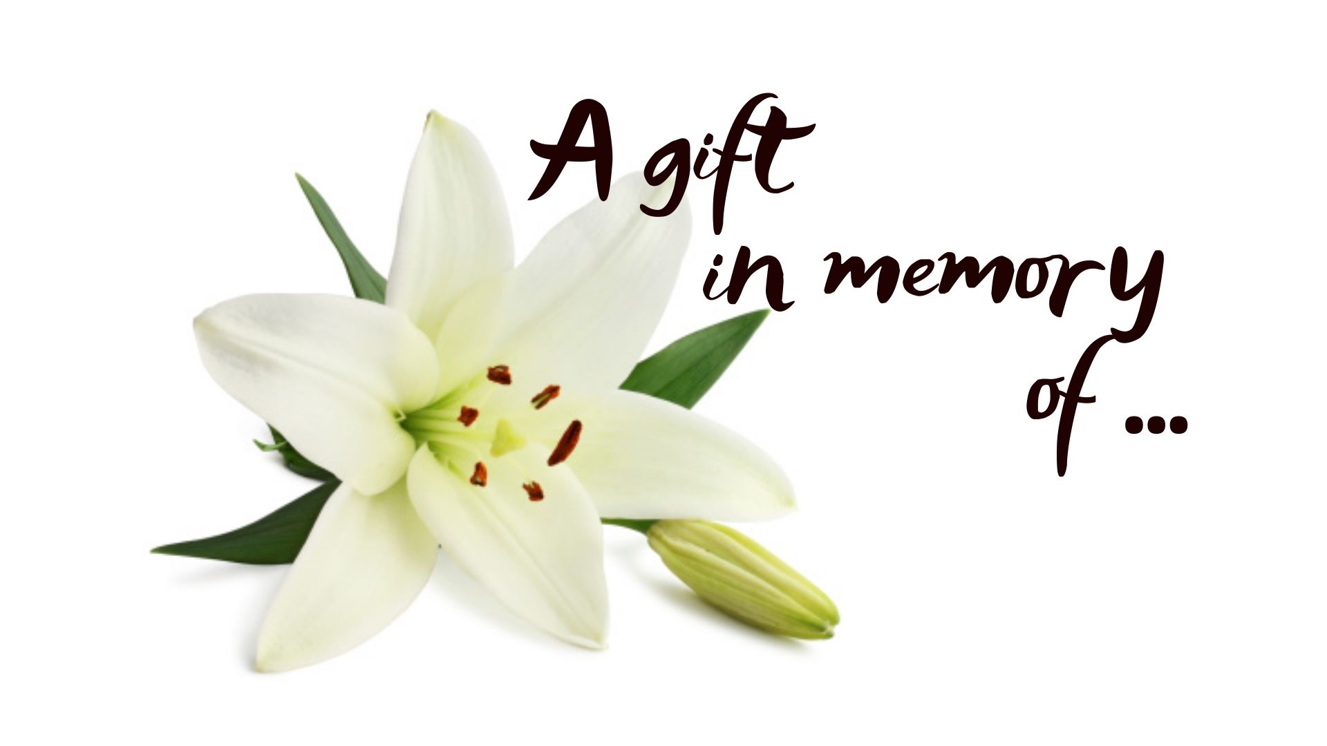 Memorial Donation